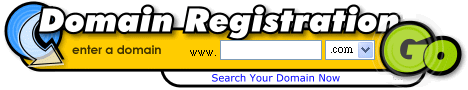 Domain Name Search